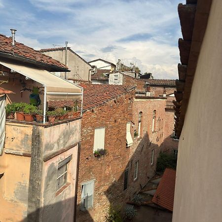 La Casa Del Galletto - At The Top Of The City Лукка Экстерьер фото